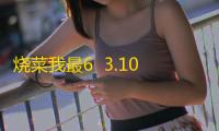 烧菜我最6  3.10.28